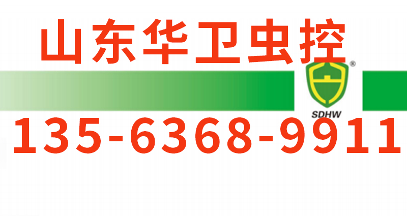 微信图片_20251021104834 - 副本.jpg